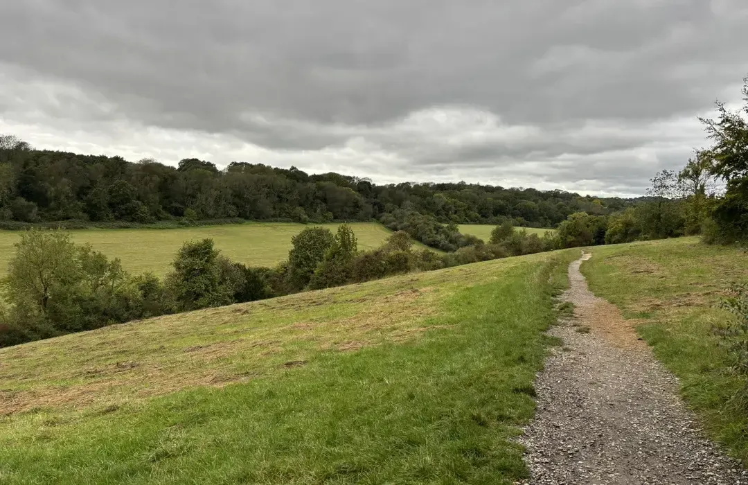 Farthing Downs & Happy Valley Woodland